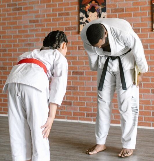 2 modstandere der viser hinanden respekt. En af de vigtiste BJJ regler